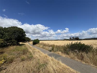 Picture 29